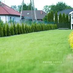 Piękny ogród z równo przystrzyżoną trawą i żywopłotem z tuj. W tle domki jednorodzinne i plac zabaw. Tuja na pniu aranżacje dodają uroku.
