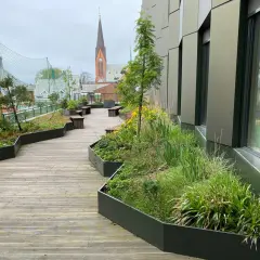 Zielony zakątek na dachu, gdzie roślinność ożywia przestrzeń, przypomina o idei **guerilla gardening** w miejskim krajobrazie.
