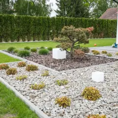 Nowoczesne klomby ogrodowe wzory z kamienia i kory, z bonsai i białymi sześcianami.
