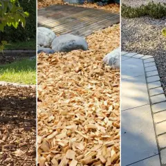 Trzy rodzaje ściółki do ogrodu: kora, zrębki drzewne i kamienie. Idealne co zamiast kory i kamieni, by stworzyć estetyczne rabaty.