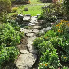 Kamienista ścieżka wśród zieleni i żółtych kwiatów. Tanie pomysły do ogrodu, które zachwycają prostotą i naturalnością.