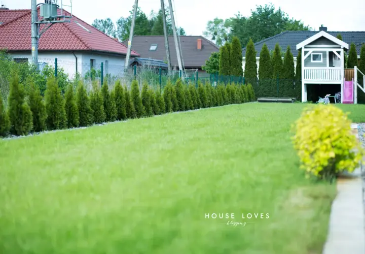 Piękny ogród z równo przystrzyżoną trawą i żywopłotem z tuj. W tle domki jednorodzinne i plac zabaw. Tuja na pniu aranżacje dodają uroku.