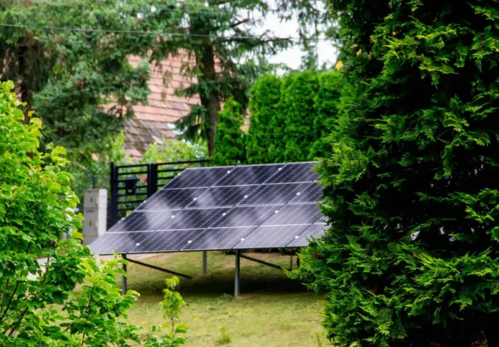 Panele fotowoltaiczne w ogrodzie, otoczone zielenią, czerpią energię ze słońca.
