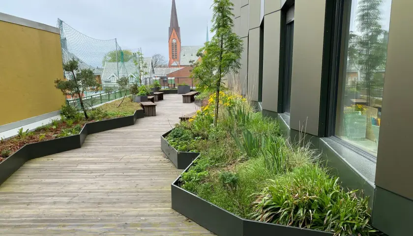 Zielony zakątek na dachu, gdzie roślinność ożywia przestrzeń, przypomina o idei **guerilla gardening** w miejskim krajobrazie.