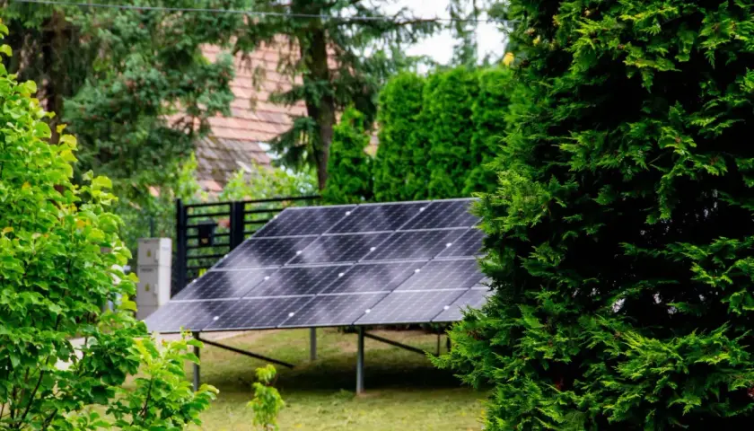 Panele fotowoltaiczne w ogrodzie, otoczone zielenią, czerpią energię ze słońca.
