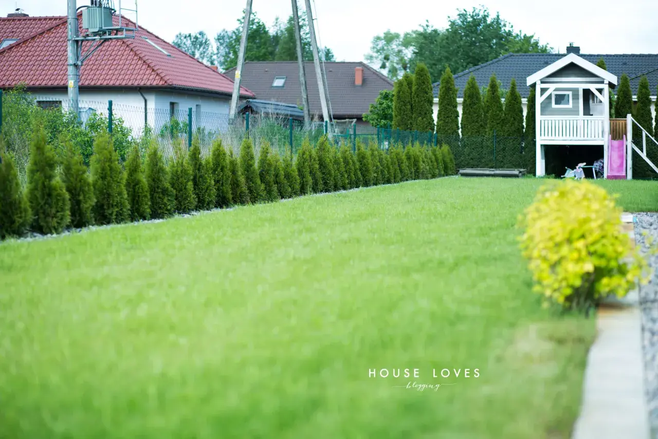 Piękny ogród z równo przystrzyżoną trawą i żywopłotem z tuj. W tle domki jednorodzinne i plac zabaw. Tuja na pniu aranżacje dodają uroku.