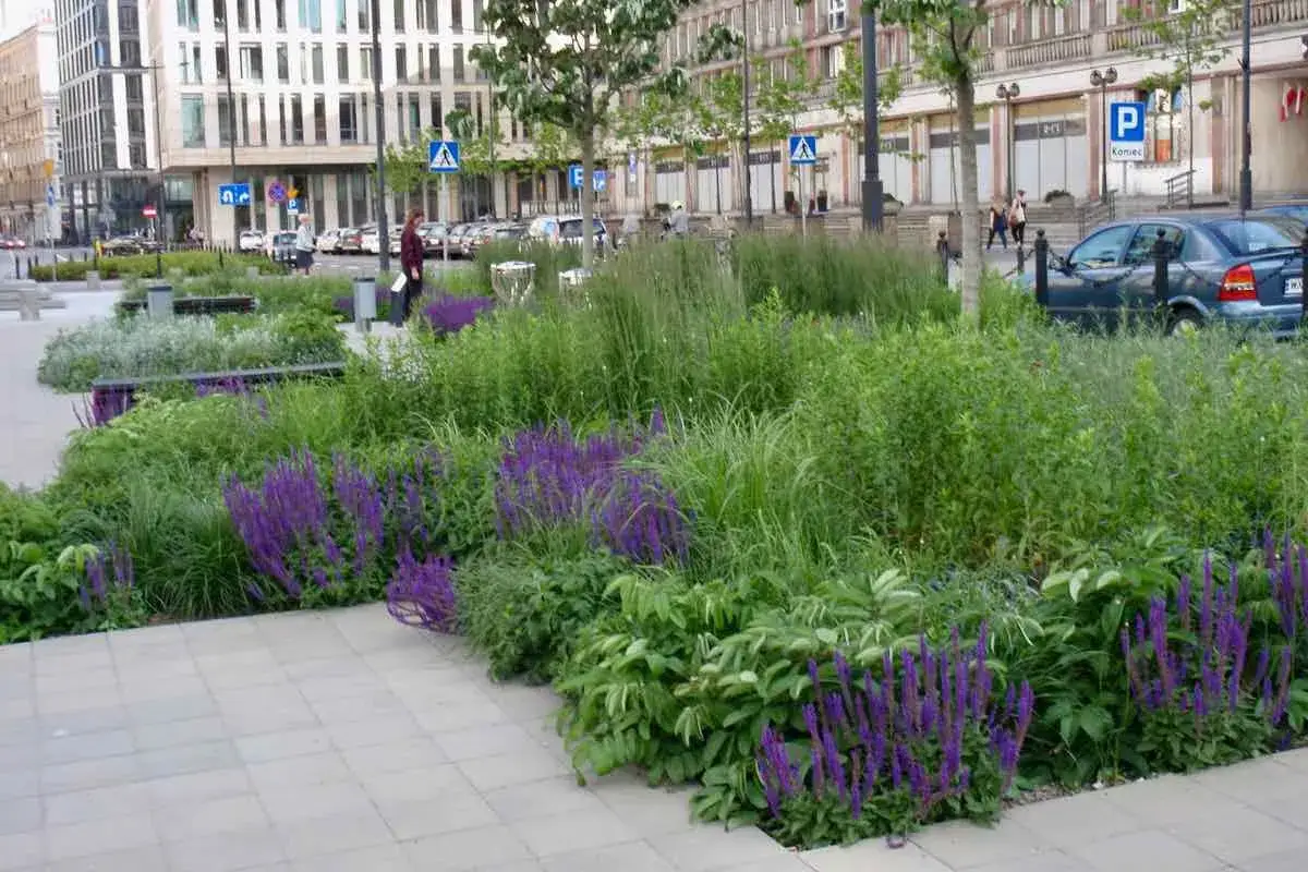 Kwiaty i zieleń miejska, jakby z akcji guerilla gardening, ożywiają betonową przestrzeń. Fioletowe kępy i trawy tworzą bujny dywan.